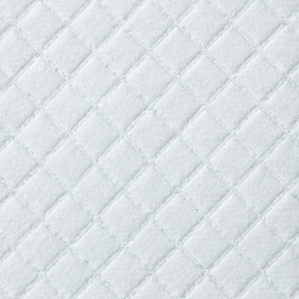 Set of 100 6-Layer Non-Woven, Paper, and PE Dog Toilet Pads, 45x30 cm, Blue and White