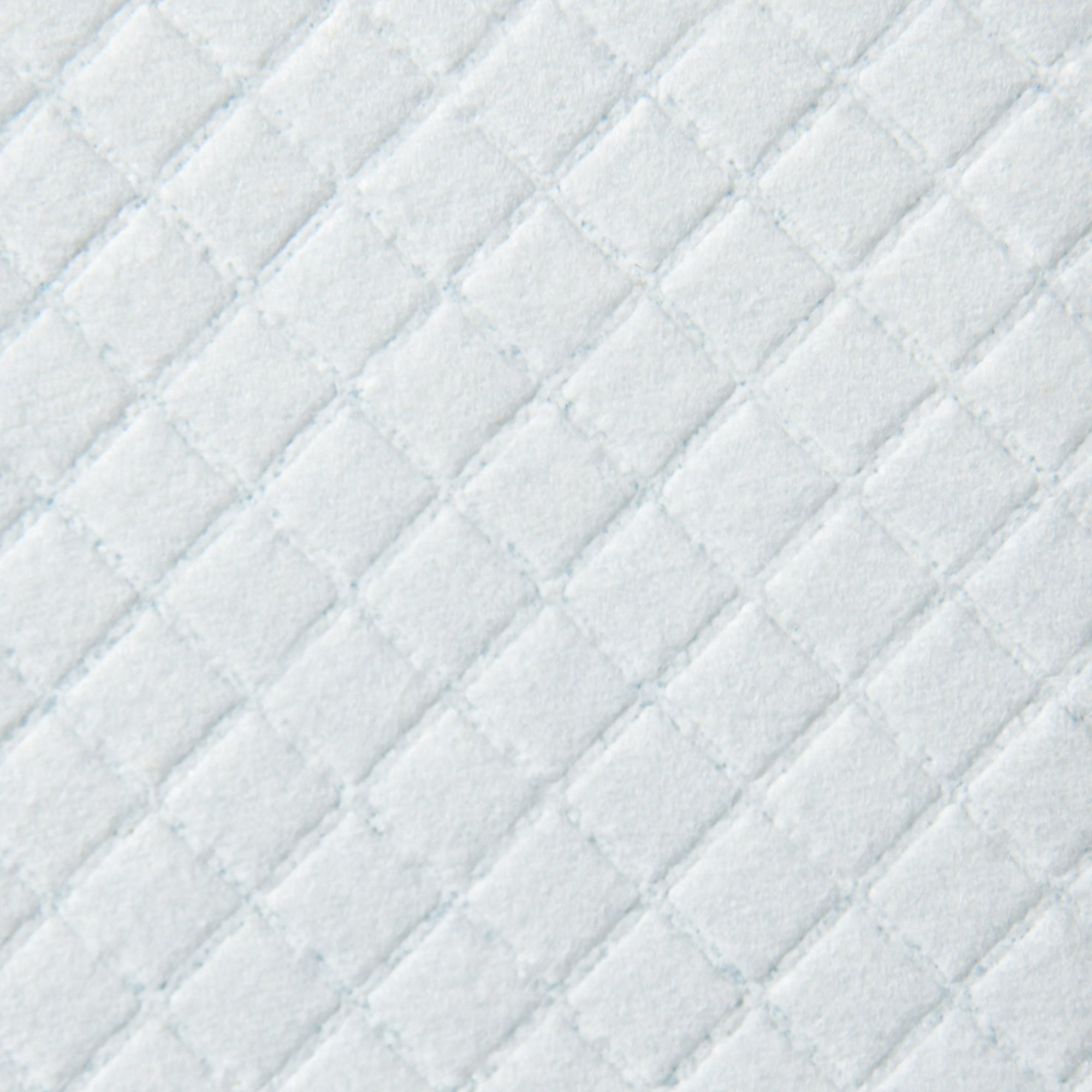Set of 100 6-Layer Non-Woven, Paper, and PE Dog Toilet Pads, 45x30 cm, Blue and White