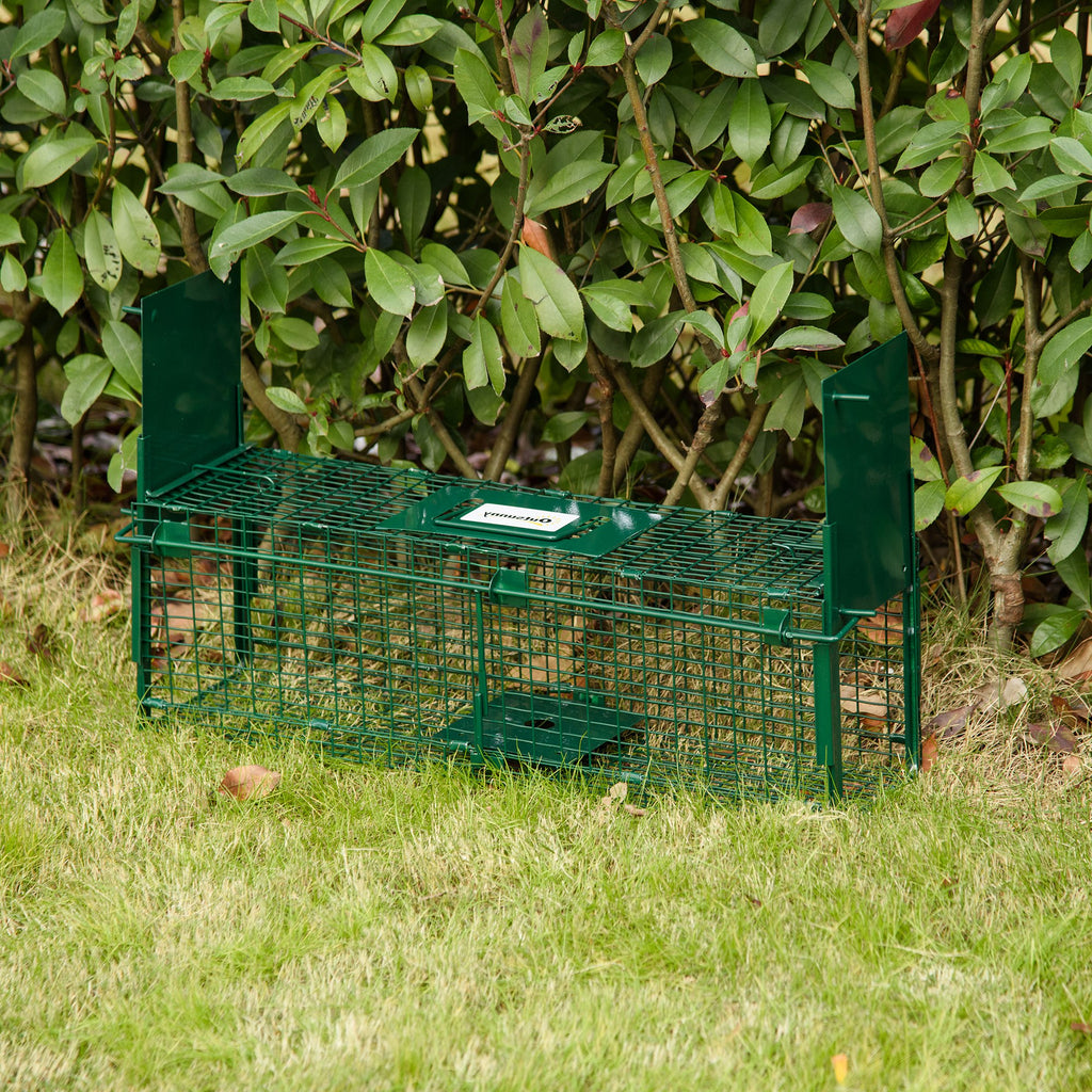 Trap Cage for Small Live Animals with Double Door and Handle, 60x18x20cm, Dark Green