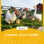 PawHut Wooden Chicken Coop, Waterproof Roof, 150x100x96.5cm, Yellow