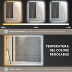 Anti-fog Bathroom Mirror with Adjustable Brightness and Color, Glass and Aluminum Alloy, 80x60x4 cm