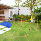 Agility Dog Equipment Complete Set with 5-Piece Slalom, Obstacle and Tunnel, Orange