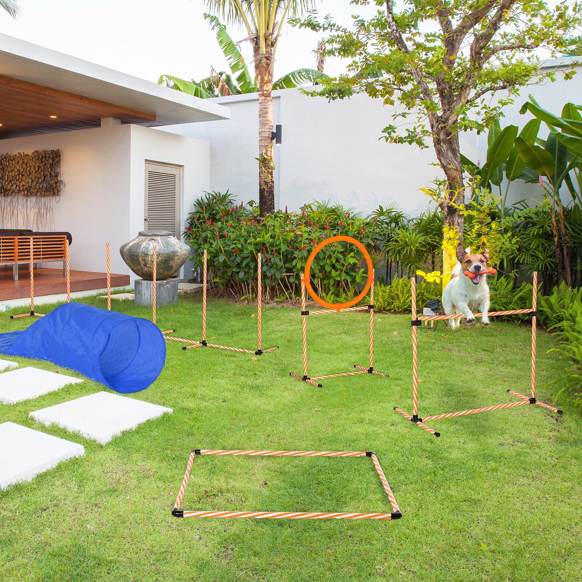 Agility Dog Equipment Complete Set with 5-Piece Slalom, Obstacle and Tunnel, Orange