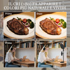 LED Desk Lamp with Phone Holder, 5 Light Colors and 10 Brightness, Black