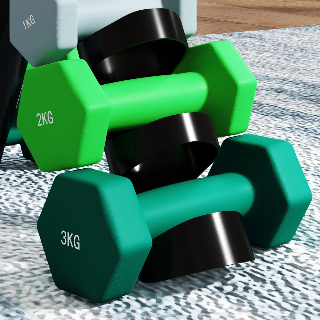 Set of 6 Dumbbell Weights (2x1 kg, 2x2 kg, 2x3 kg) of 12 kg with Stand/Kettlebell, in Metal and Multicolored Plastic