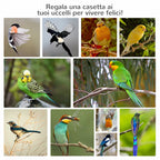 3-Door Wood and Metal Bird Cage with 4 Perches and Removable Tray, 80.5x57x153 cm, Orange