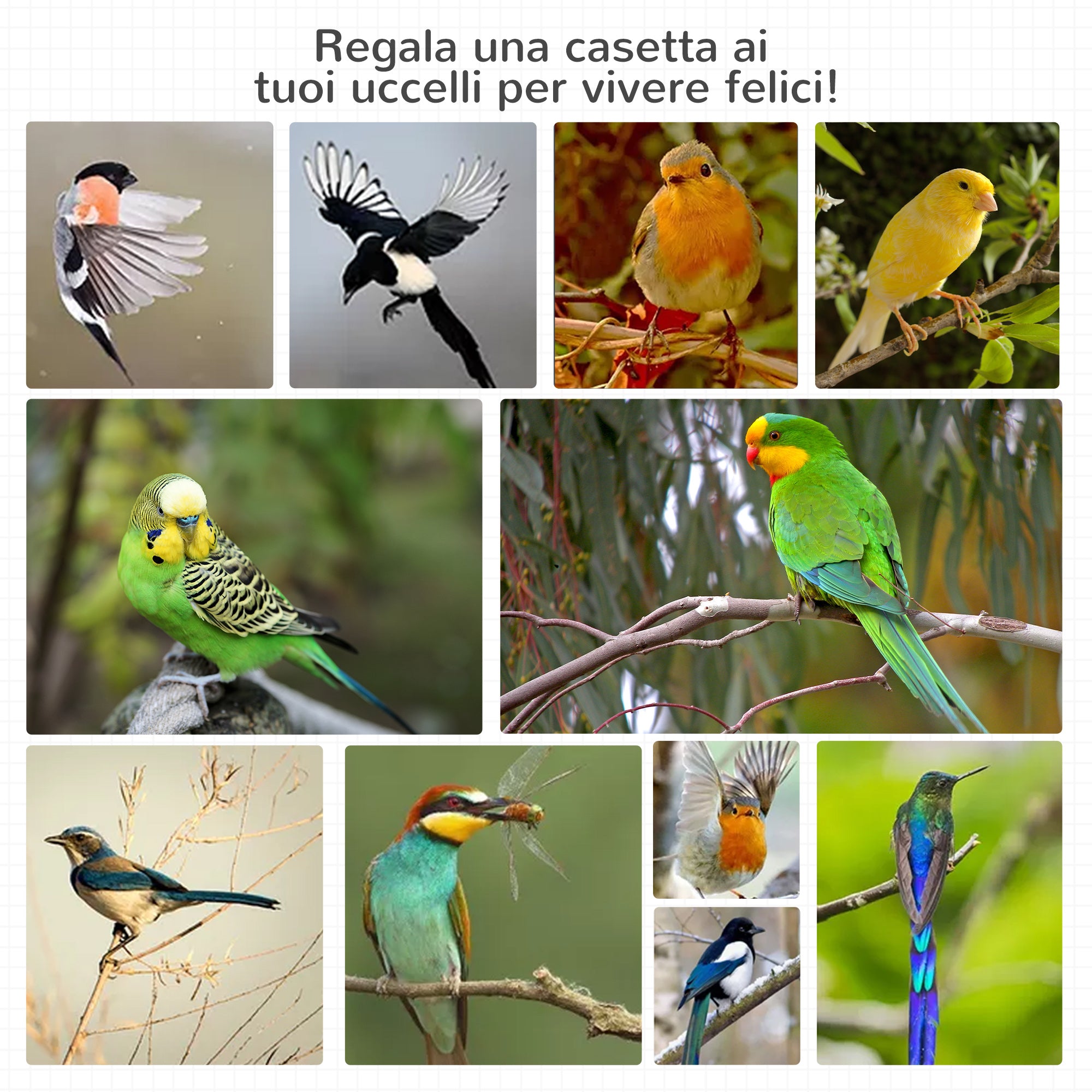 3-Door Wood and Metal Bird Cage with 4 Perches and Removable Tray, 80.5x57x153 cm, Orange