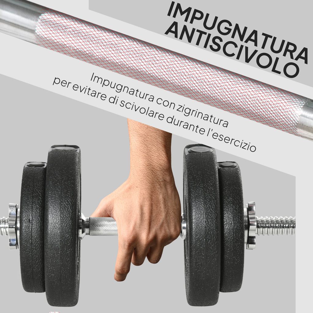 20 kg Dumbbell Set (4 x 2.5 kg, 4 x 1.5 kg) with 8 Discs and 2 x 2 kg Dumbbells, 43 x 18 x 7.5 cm, Black