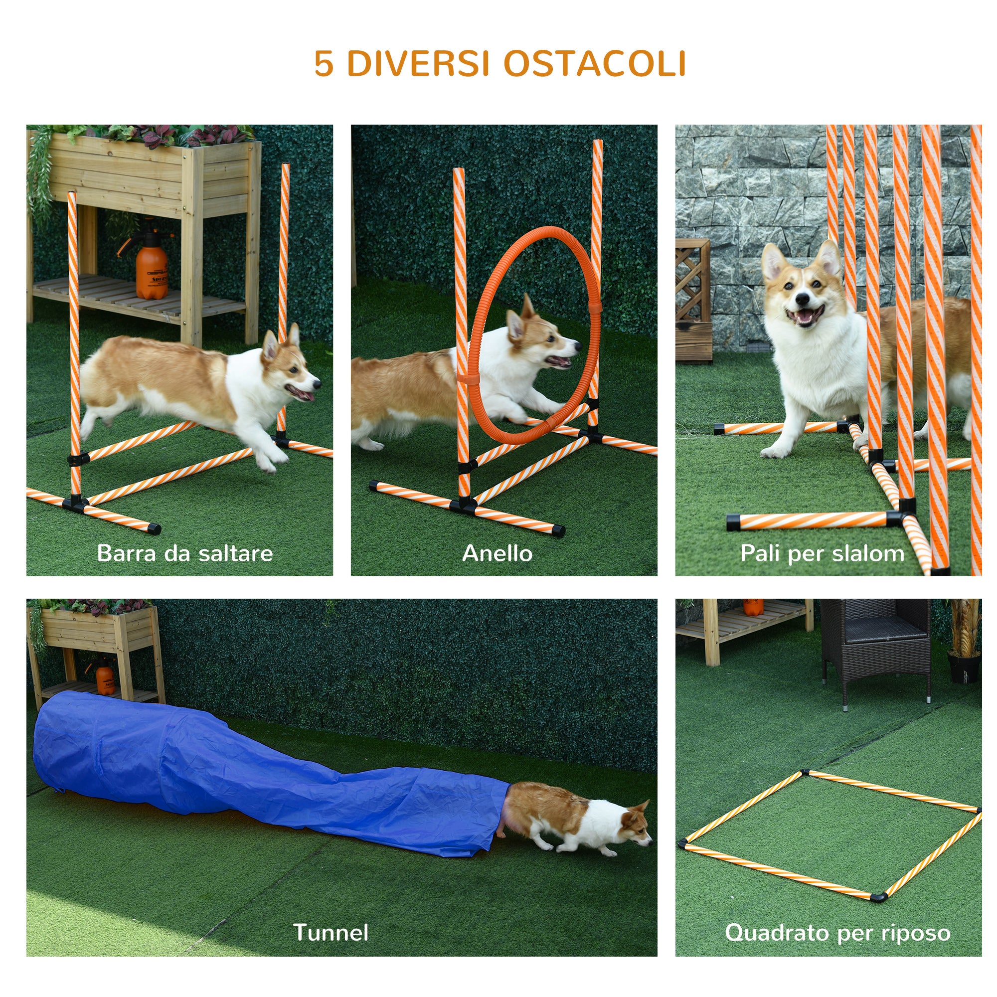 Agility Dog Equipment Complete Set with 5-Piece Slalom, Obstacle and Tunnel, Orange