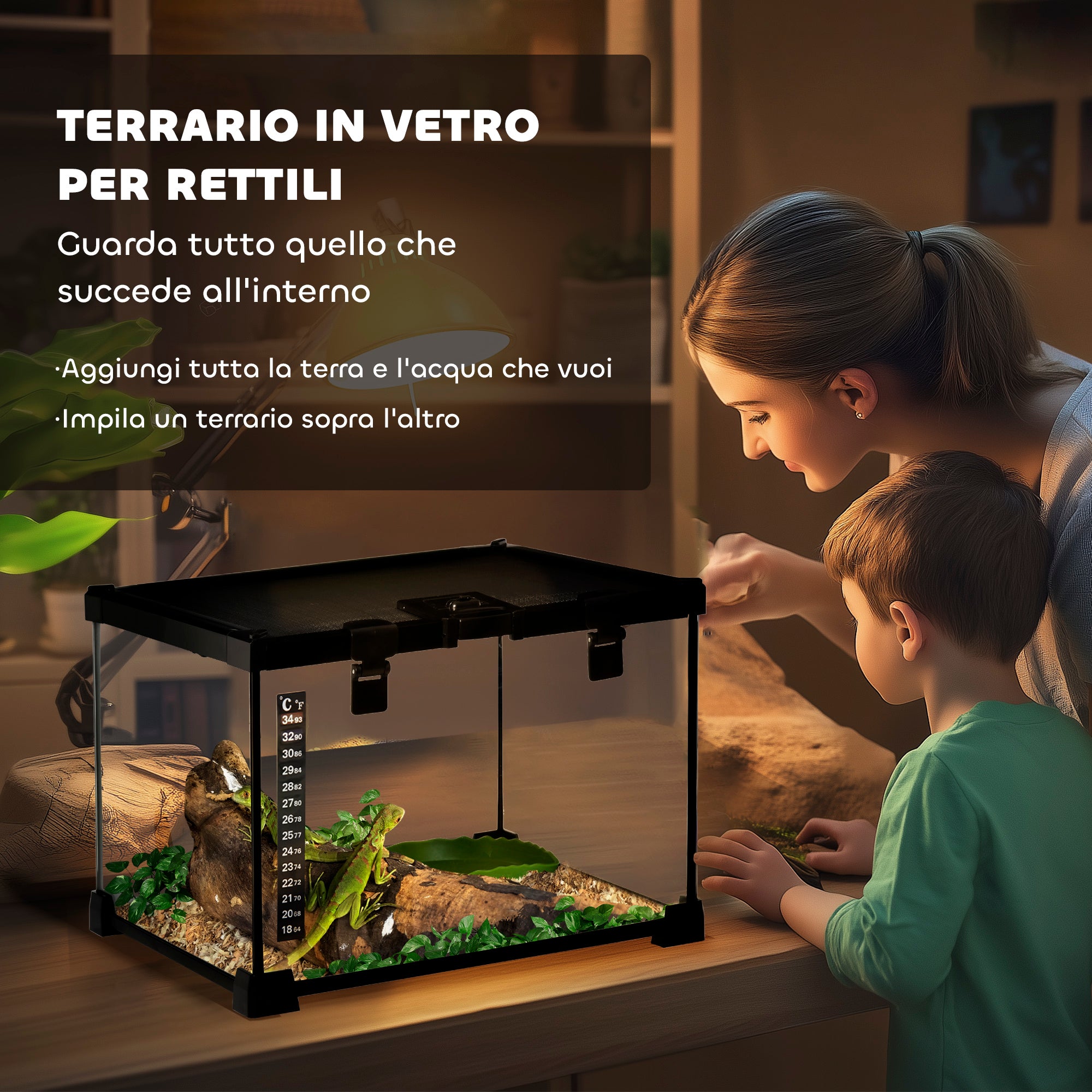 Raised Terrarium for Reptiles with Lock and Thermometer, in Glass and Metal Mesh, 30x30x20 cm, Black