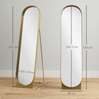 Modern Freestanding or Wall-Mounted Metal Frame Mirror, 40x150cm, Gold