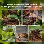 Reptile Terrarium, Reptile Breeding Box, Terrarium Hut, Sliding Lid, Metal Grid, Thermometer, Black