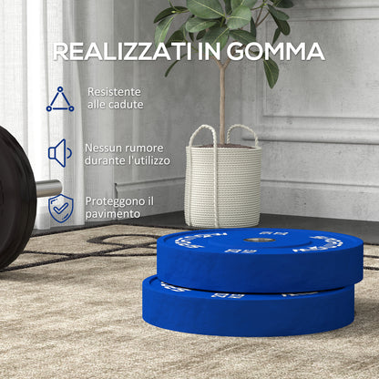 20kg Weight Plates Set 20kg Rubber with 2"/5cm Hole for Dumbbells and Barbells, Blue