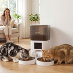 PawHut 6L Automatic Cat Food Dispenser, WiFi 2.4G, App Control with Timer, 1-10 Meals per Day, 10s Recorder, 2 Stainless Steel Bowls