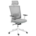 HOMCOM Ergonomic and Breathable Office Chair with 4D Dynamic Lumbar Support, 64.5x62.5x112-122 cm, Multicolor