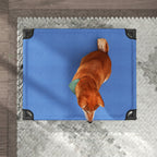Foldable Raised Dog Bed for Indoor and Outdoor Use in Metal and Oxford Fabric, 76x61x18 cm, Blue
