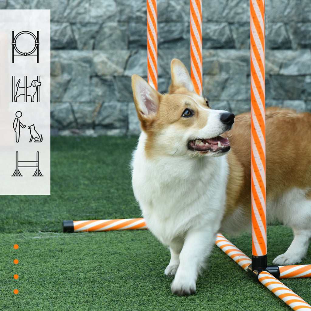 Agility Dog Equipment Complete Set with 5-Piece Slalom, Obstacle and Tunnel, Orange