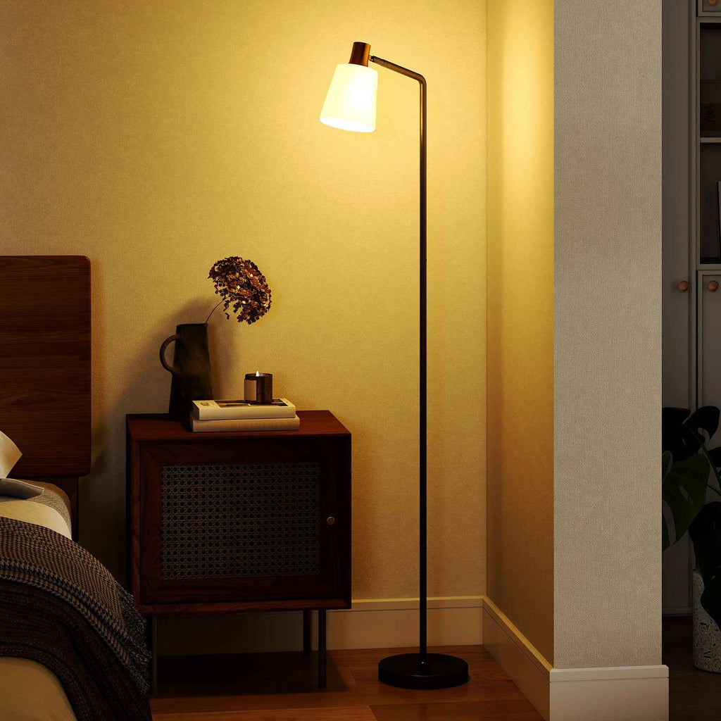 HOMCOM LED Floor Lamp with 350° Swivel Head, 3000K/4000K/6500K Color Temperature Adjustment, Black