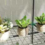 Outsunny Garden Greenhouse with 2 Roll-Up Doors, 3-Tier Shelving and Side Pockets, White and Gray