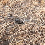 Folding Beach Screen Privacy Screen in Polyester with Steel Bars, 540x150 cm, Grey