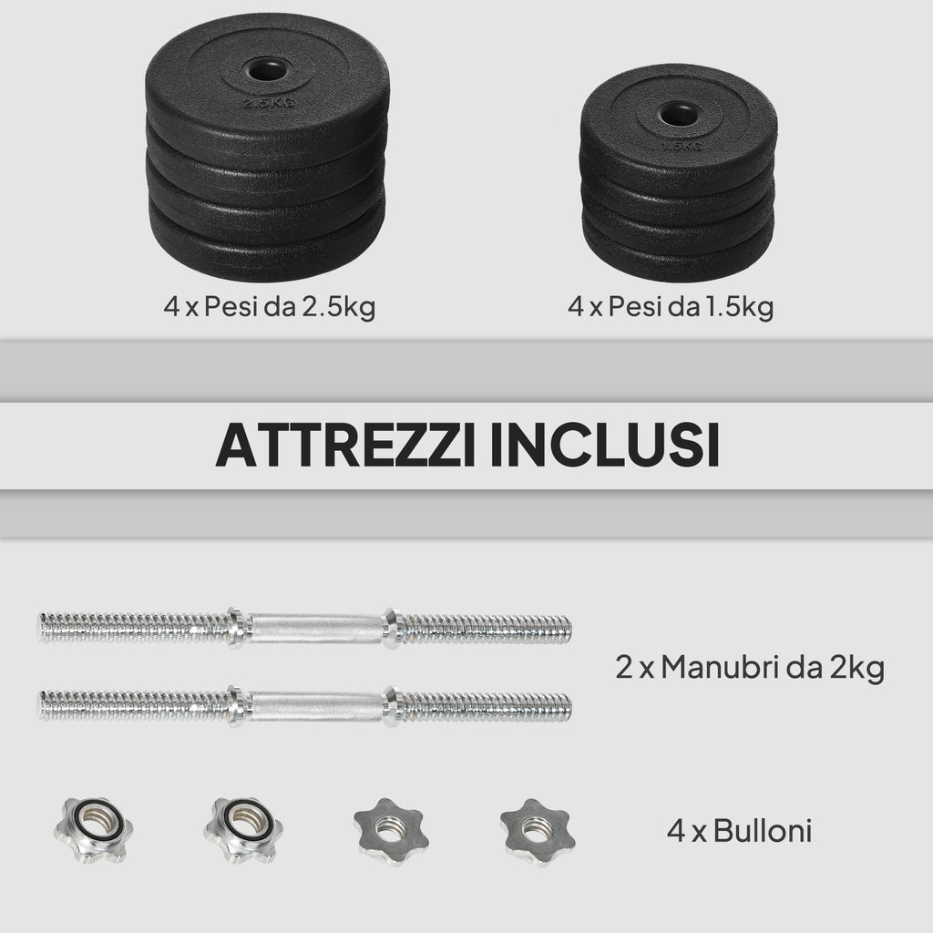 20 kg Dumbbell Set (4 x 2.5 kg, 4 x 1.5 kg) with 8 Discs and 2 x 2 kg Dumbbells, 43 x 18 x 7.5 cm, Black