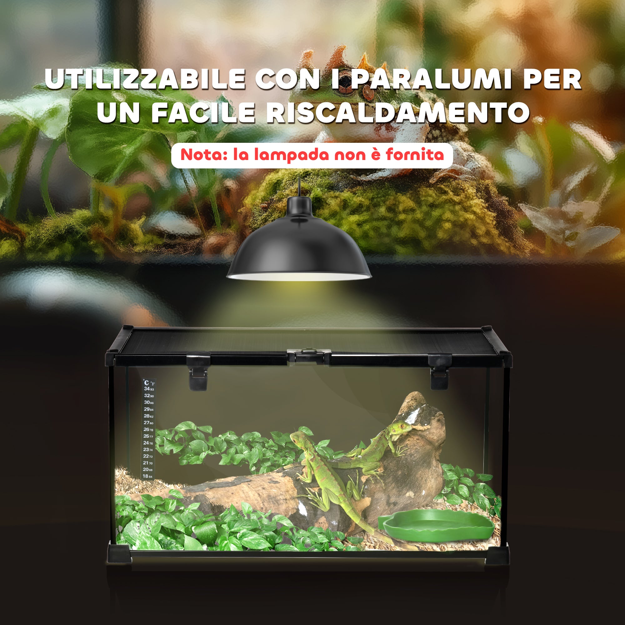 Raised Terrarium for Reptiles with Lock and Thermometer, in Glass and Metal Mesh, 50x30x25 cm, Black