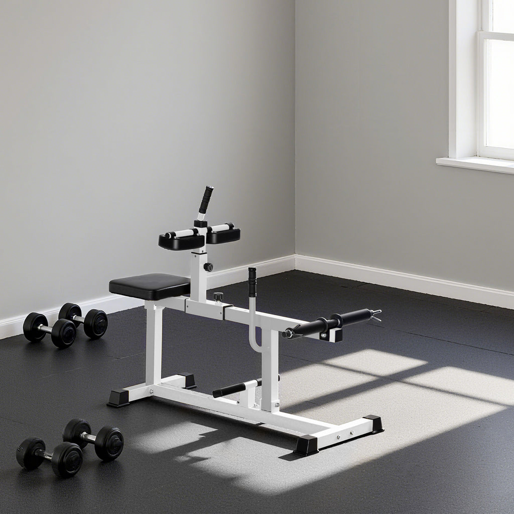 SPORTNOW Adjustable Seated Calf Machine, for Leg, Calf, Waist and Arm Training, Home Gym, White