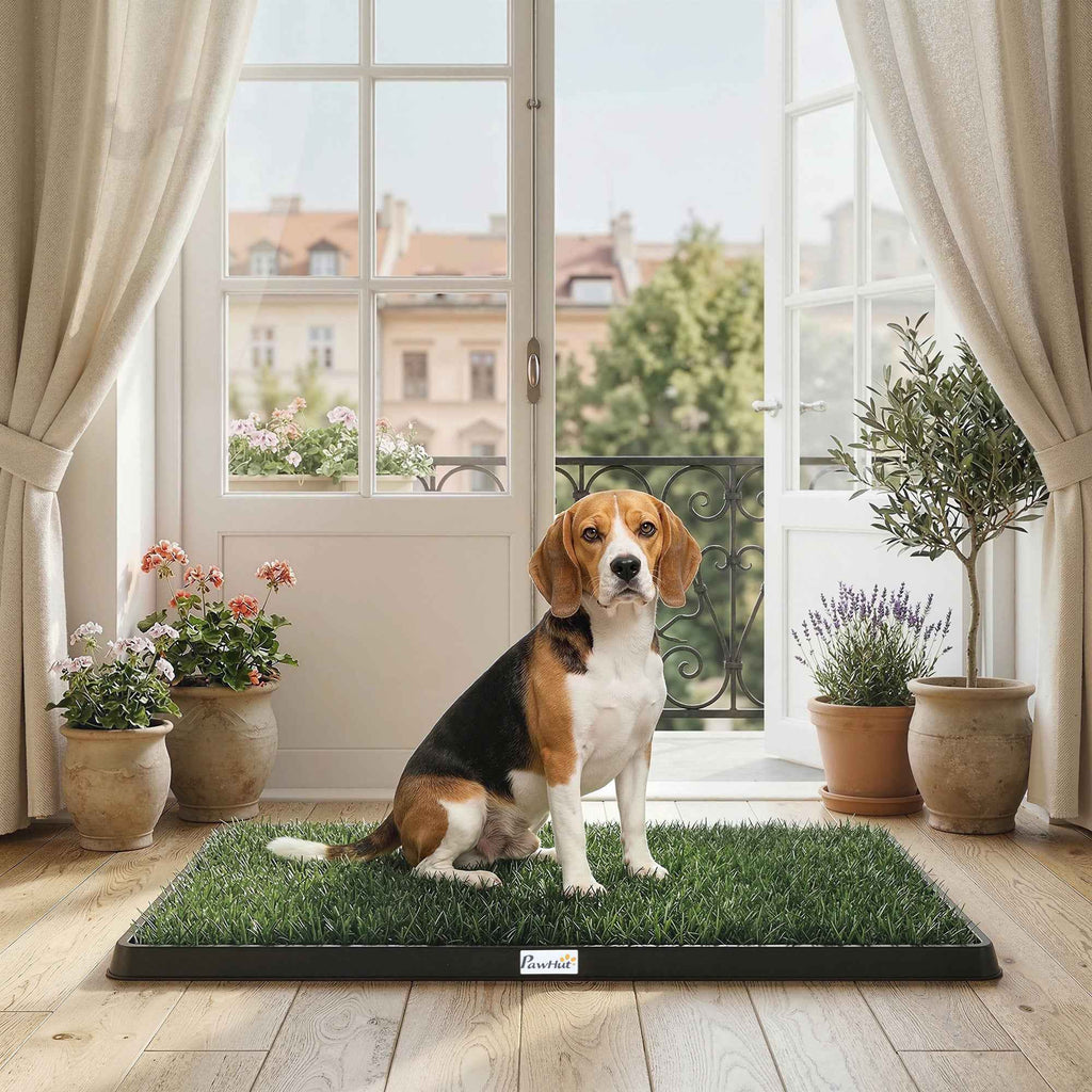 PawHut Washable Artificial Grass Dog Mat with Tray for Indoor and Outdoor Use 76 x 50.5 cm