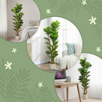 HOMCOM Artificial Green Fig Plant in PEVA and Wood with PP and Cement Container Pot, 50x50x150 cm