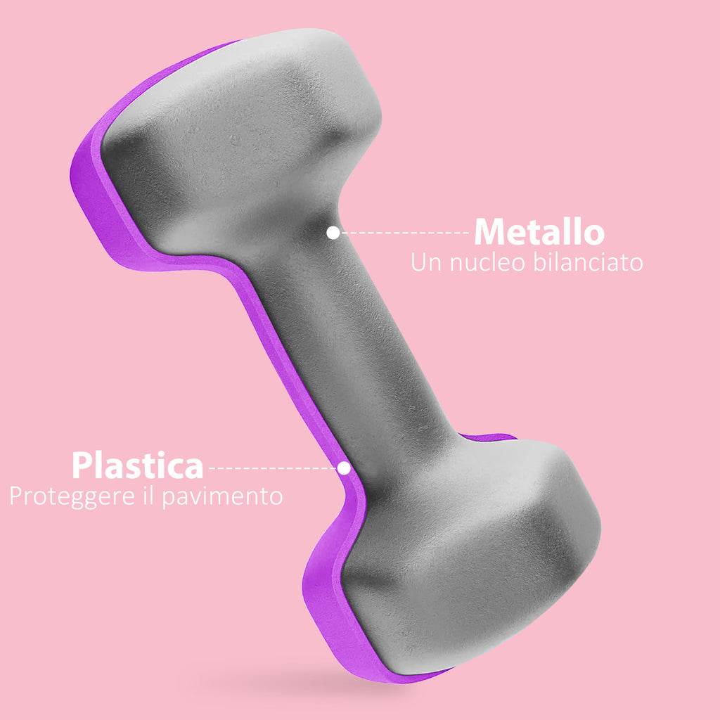 SPORTNOW Set of 2 Dumbbells 2x2 kg Hexagonal and Non-slip for Home and Gym, in Metal and Plastic, 16x7.5x7.5 cm, Purple