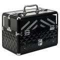 Professional Travel Makeup Case, Makeup Bag with Removable Trays and Lock, for Women's Travel Makeup Beauty Case, 30x18.5x22 cm, Black