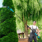 2-in-1 Cordless Chainsaw with Telescopic Pole, Brushless Motor, 2 Batteries and Safety Lock, Blue