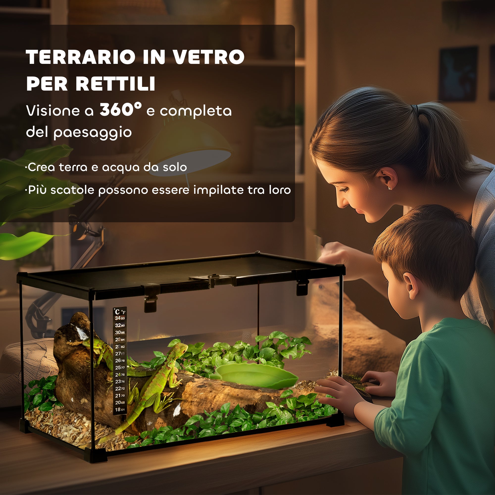 Raised Terrarium for Reptiles with Lock and Thermometer, in Glass and Metal Mesh, 50x30x25 cm, Black