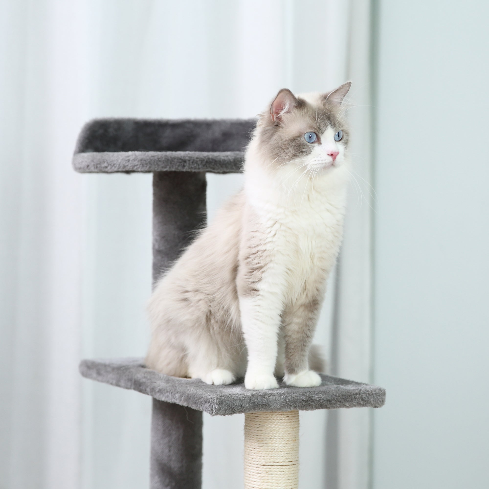100cm Cat Scratching Post with Round Bed, Sisal Posts and Plush Lining, Grey