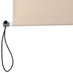 Roller Shade Awning with Crank Handle, Wall or Ceiling Mounted, 120x200cm, Beige