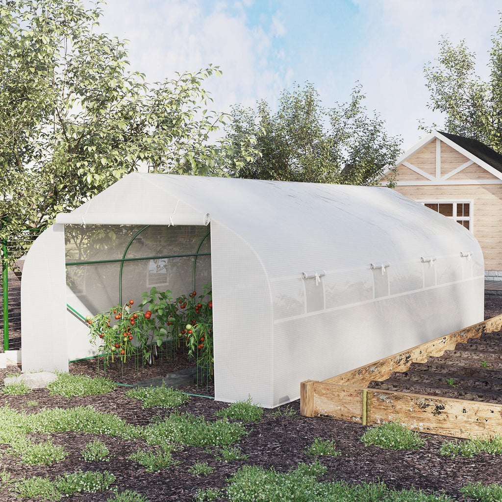 Vegetable Greenhouse 6x3x2m with 8 Windows and Roller Door, in Steel and PP, Green - Borgè
