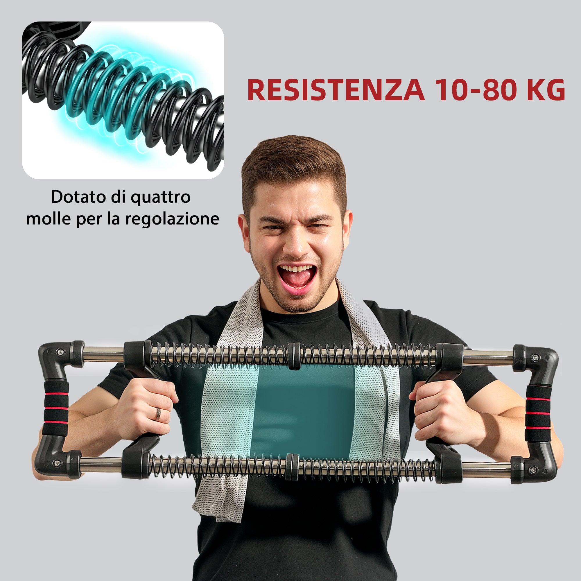 SPORTNOW Power Twister with 4 Springs with Resistance from 10 to 80 kg, in Stainless Steel, 80x22x5 cm, Black