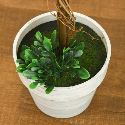 Set of 2 Indoor and Outdoor Boxwood Trees with Pot, Ø28x60cm