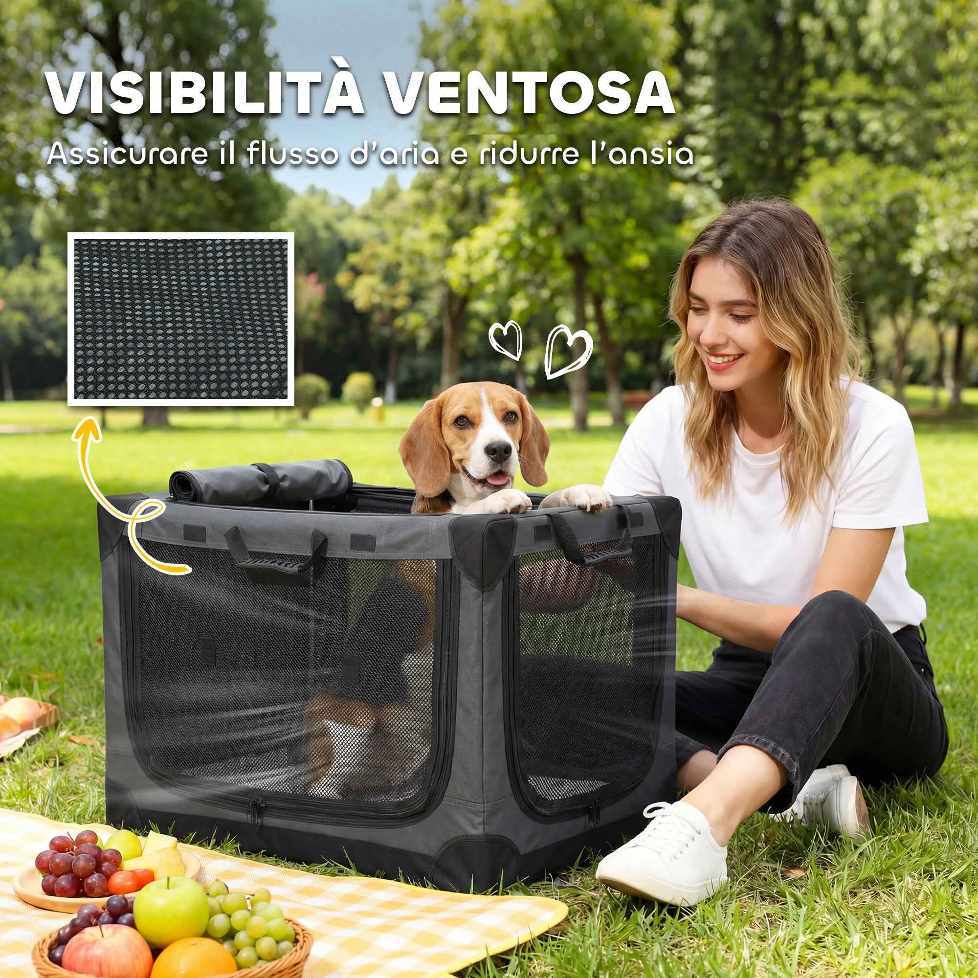 PawHut Soft Foldable Dog and Cat Carrier with Cushion, Washable Cover, Doors, Breathable 600D Oxford, 76x54x54 cm, Green