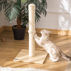 Cat Scratching Post with 60cm High Sisal Pole and Chipboard Base, Beige