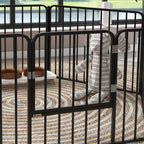 PAWHUT FENCE FOR 6 DOGS with 6 modular and outdoor modular panels, in steel, 164x83x60 cm, black - Borgè