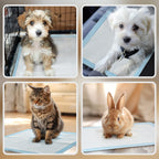 Set of 80 6-Layer Non-Woven, Paper, and PE Dog Toilet Pads, 60x60 cm, Blue and White