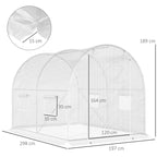 Tunnel Greenhouse with 4 Windows and Zip Entrance in Galvanized Steel and PE, 3x2x1.9 m, White