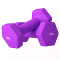 SPORTNOW Set of 2 Dumbbells 2x2 kg Hexagonal and Non-slip for Home and Gym, in Metal and Plastic, 16x7.5x7.5 cm, Purple