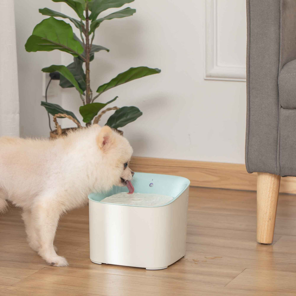 PawHut 3L Cat and Dog Water Fountain with Carbon Filter, LED Light and Motion Sensor, White