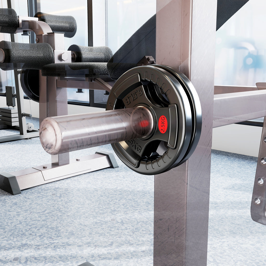 SPORTNOW Set of 2x2.5 kg Weight Plates with 5 cm Hole and 3 Handles, Steel with Plastic Coating, Black