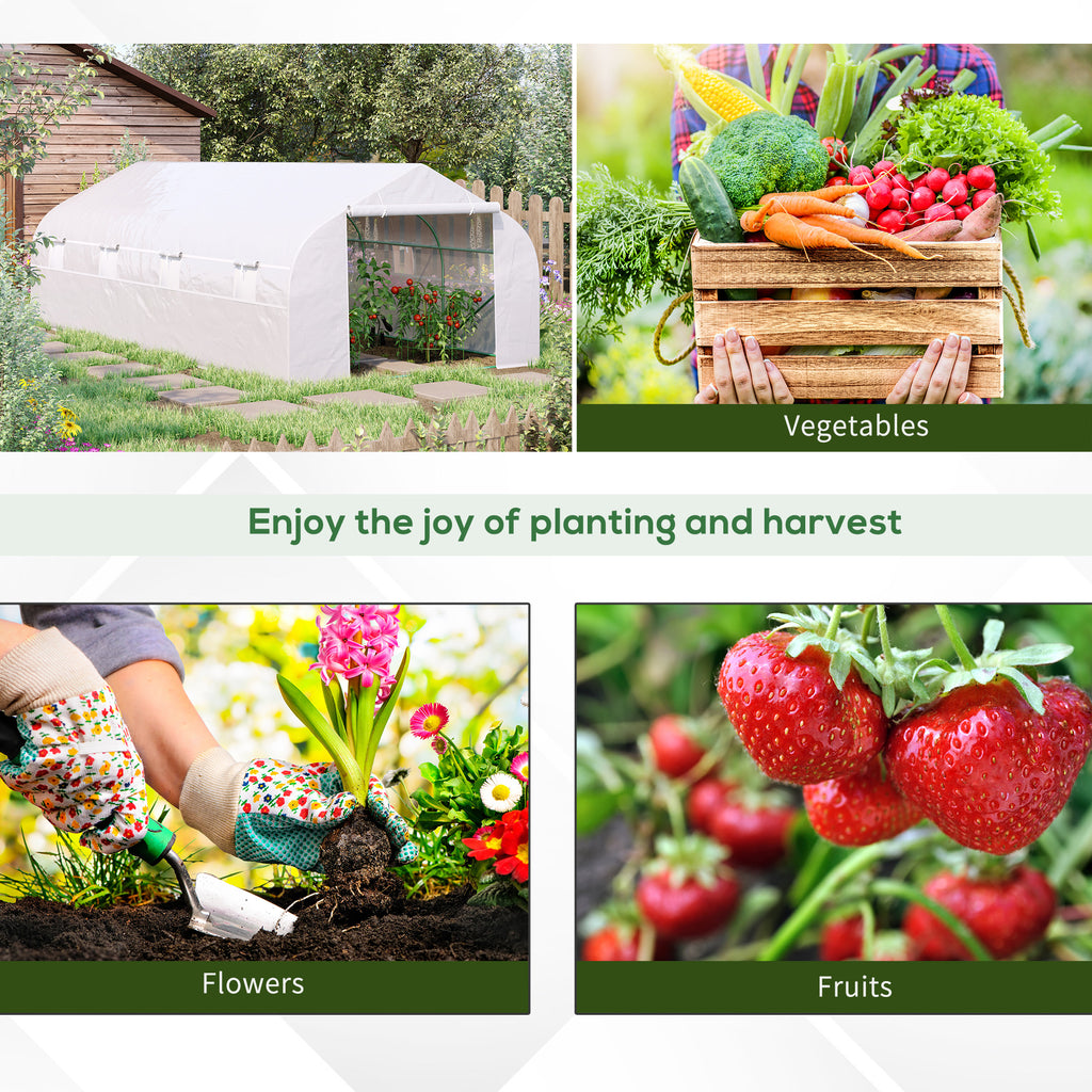 Vegetable Greenhouse 6x3x2m with 8 Windows and Roller Door, in Steel and PP, Green - Borgè