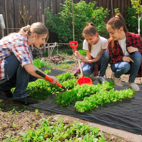 100x1m Breathable and Anti-UV Polypropylene Black Mulch Sheet