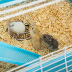 5-Tier Hamster Cage with Tubes, House, Water Tank and Wheel, 59x36x69 cm