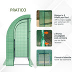 Outsunny Wall-Mounted Greenhouse with 2 Shelves for Plants and Flowers in Steel and PE, 200x100x215 cm, Green